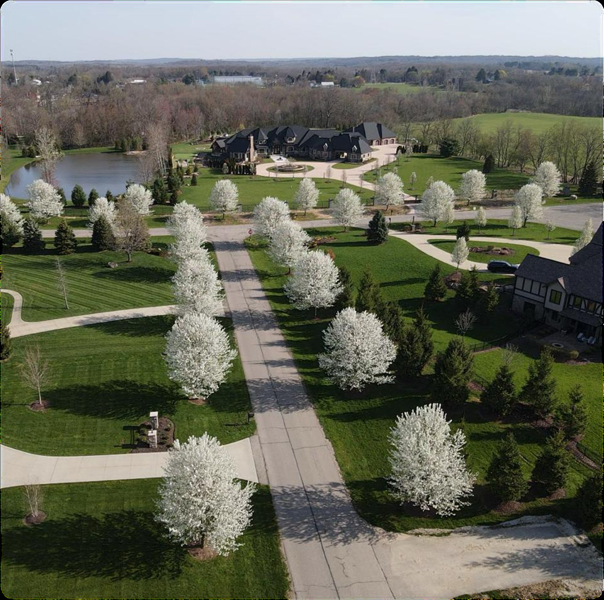 Tree-lined road and landscaped estate setting